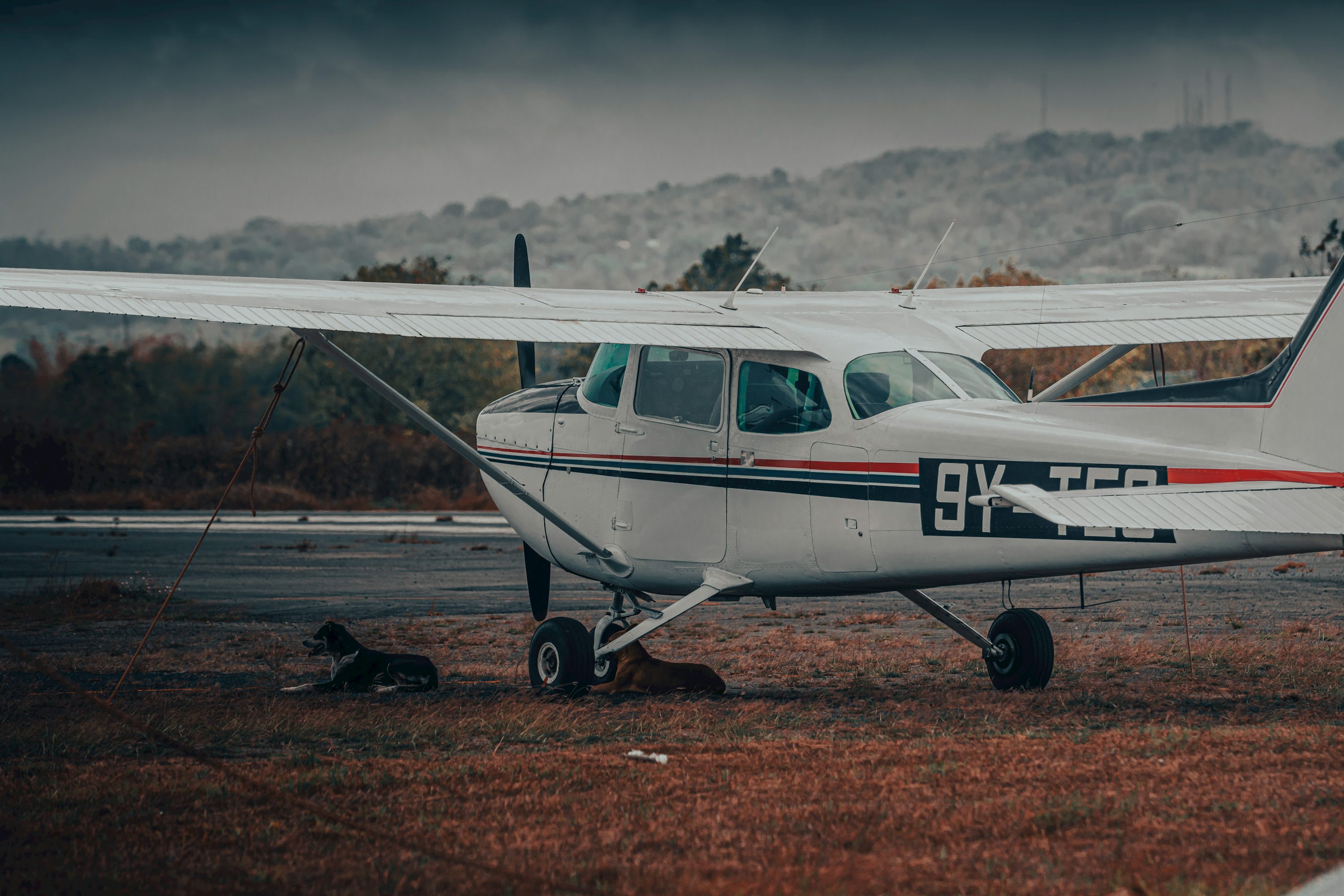 Cessna 172 Skyhawk